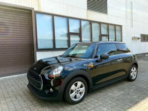 Mini One Salt